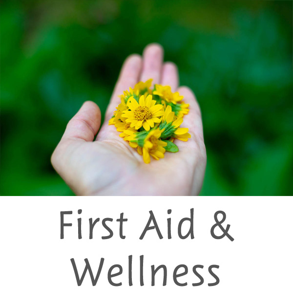 First Aid & Wellness